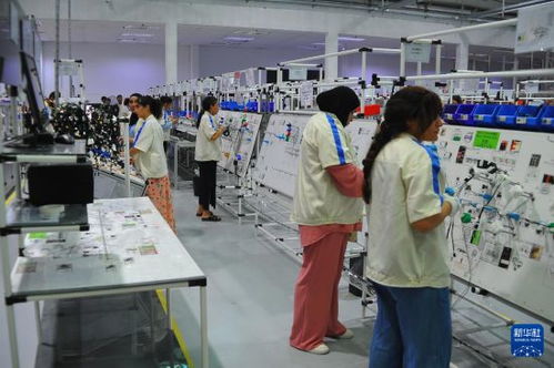 突尼斯工业部长 期待与中国深化汽车行业合作与教育投资